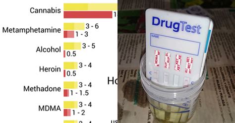 By comparison, drugs of abuse can be detected in blood for one or two days and in urine for 1. . How long does it take for a disa drug test to come back